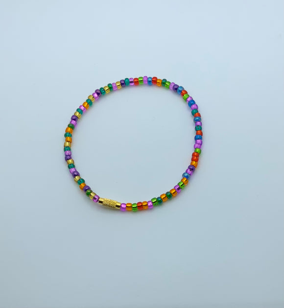 Light Touch of Colors 2 Anklet