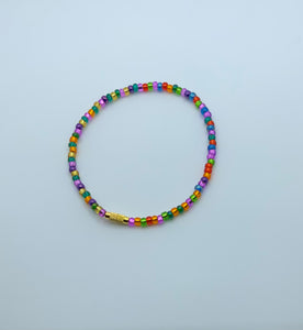 Light Touch of Colors 2 Anklet